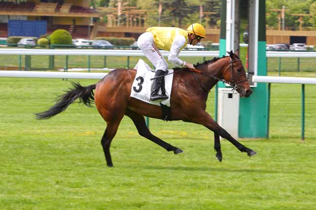 Photo d'arrivée de la course pmu PRIX DU CHERCHE MIDI à LONGCHAMP le Mercredi 4 mai 2022