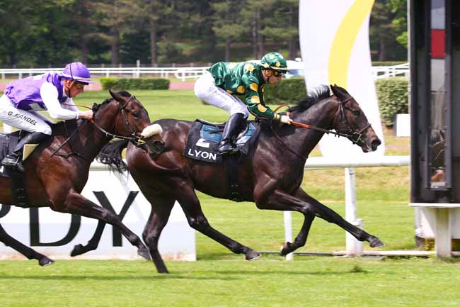 Photo d'arrivée de la course pmu PRIX LABEL EQUURES (PRIX DES ROSES) à LYON PARILLY le Jeudi 5 mai 2022