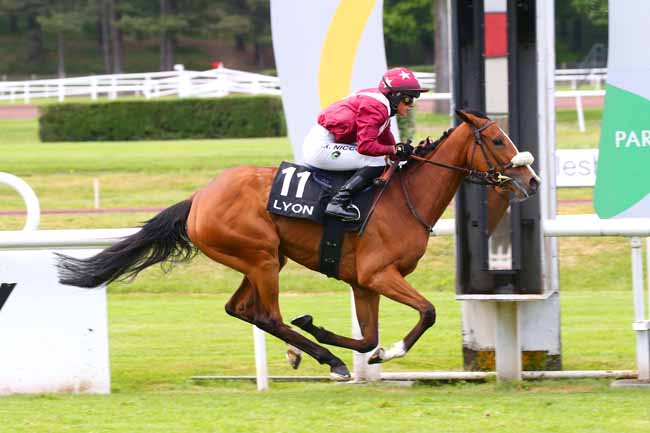Photo d'arrivée de la course pmu PRIX DU PARC DE LACROIX-LAVAL à LYON PARILLY le Jeudi 5 mai 2022
