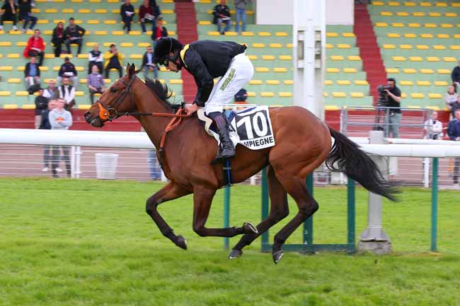 Photo d'arrivée de la course pmu PRIX DE SOSPEL à COMPIEGNE le Jeudi 5 mai 2022