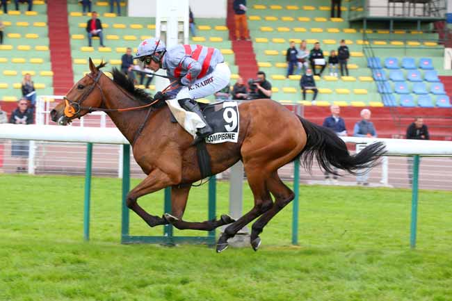 Photo d'arrivée de la course pmu PRIX ALAIN CHELET à COMPIEGNE le Jeudi 5 mai 2022