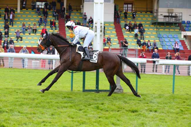 Photo d'arrivée de la course pmu PRIX LE RHEUSOIS à COMPIEGNE le Jeudi 5 mai 2022