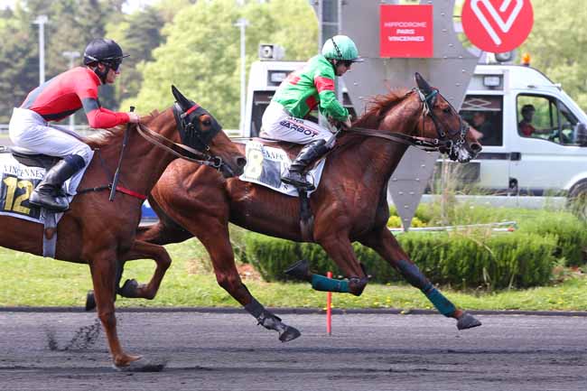 Photo d'arrivée de la course pmu PRIX NIOBE à PARIS-VINCENNES le Mardi 10 mai 2022