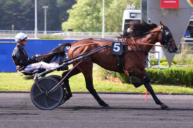 Photo d'arrivée de la course pmu PRIX DE MAMERS à PARIS-VINCENNES le Mardi 10 mai 2022