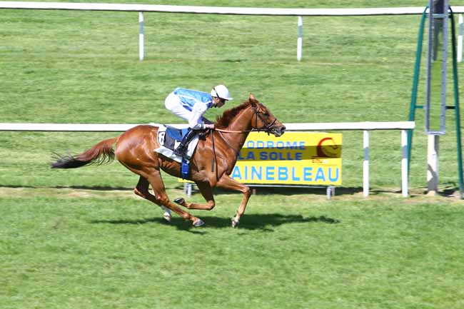 Photo d'arrivée de la course pmu PRIX DE LA MARE AUX FEES à FONTAINEBLEAU le Mercredi 11 mai 2022