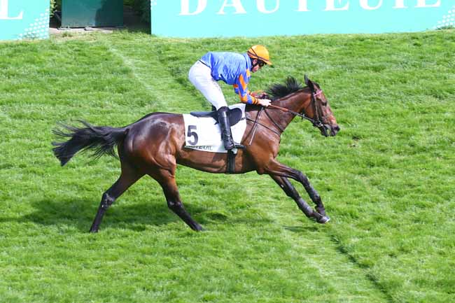 Photo d'arrivée de la course pmu PRIX GUILLAUME JAVOY à AUTEUIL le Samedi 14 mai 2022