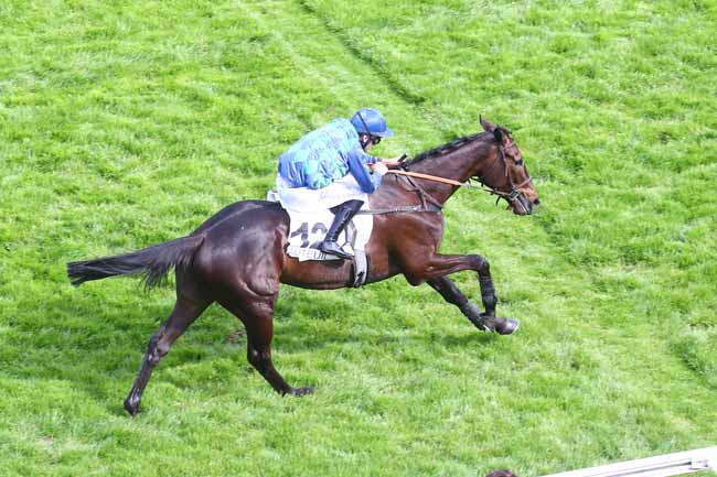 Photo d'arrivée de la course pmu PRIX DE POUILLY à AUTEUIL le Samedi 14 mai 2022
