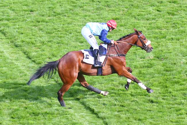 Photo d'arrivée de la course pmu PRIX POT D'OR à AUTEUIL le Samedi 14 mai 2022