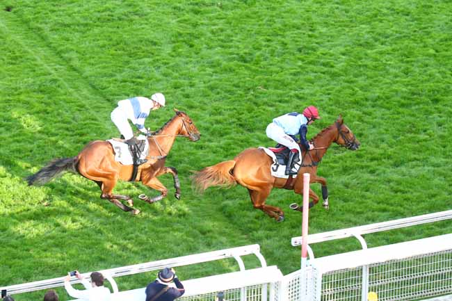 Photo d'arrivée de la course pmu PRIX MIROR à AUTEUIL le Samedi 14 mai 2022