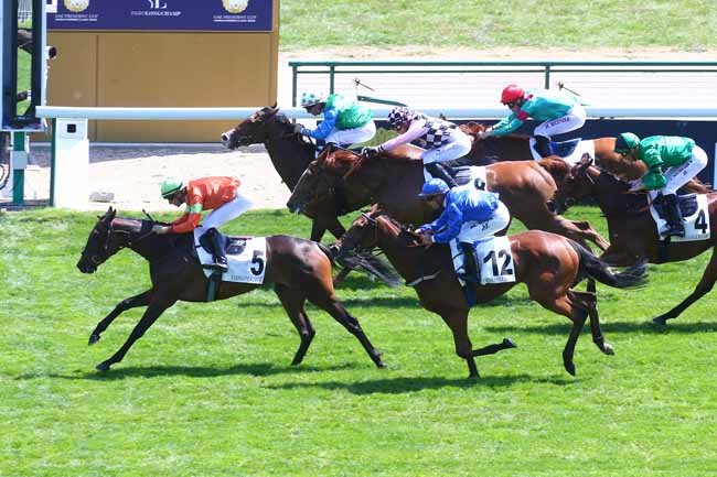 Photo d'arrivée de la course pmu PRIX DE LA MUETTE à LONGCHAMP le Dimanche 15 mai 2022