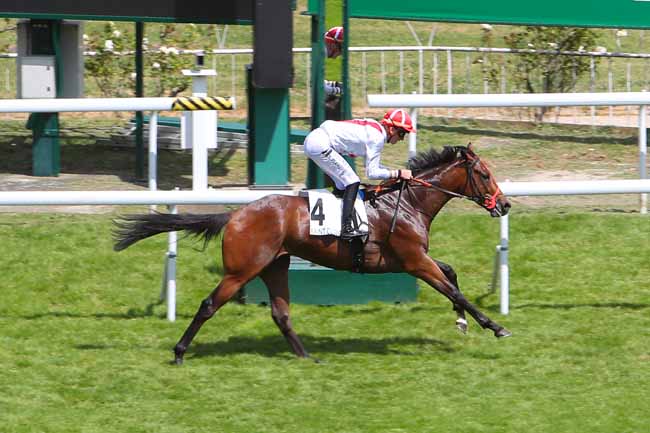 Photo d'arrivée de la course pmu PRIX HUNYADE à SAINT CLOUD le Mardi 17 mai 2022
