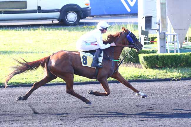 Photo d'arrivée de la course pmu PRIX OCEANA à PARIS-VINCENNES le Mardi 17 mai 2022