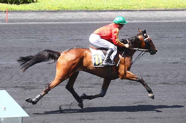Photo d'arrivée de la course pmu PRIX DE L'AUBE à PARIS-VINCENNES le Mercredi 18 mai 2022
