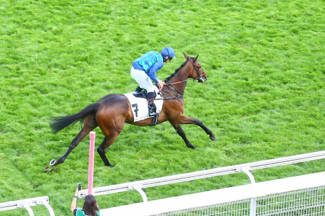 Photo d'arrivée de la course pmu GRANDE COURSE DE HAIES D'AUTEUIL à AUTEUIL le Samedi 21 mai 2022