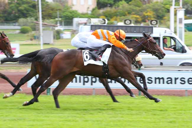 Photo d'arrivée de la course pmu PRIX DU PETIT CERCLE à MARSEILLE BORELY le Lundi 23 mai 2022