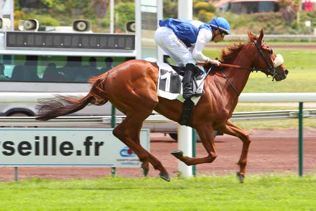 Photo d'arrivée de la course pmu PRIX DES LAURIERS à MARSEILLE BORELY le Lundi 23 mai 2022