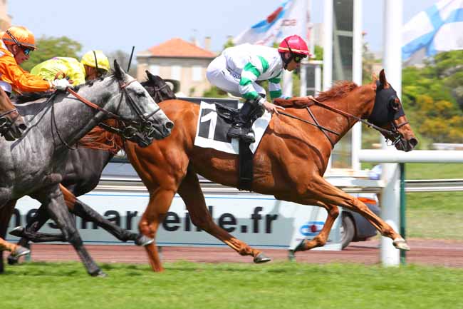 Photo d'arrivée de la course pmu PRIX GERARD SAMOUN à MARSEILLE BORELY le Lundi 23 mai 2022