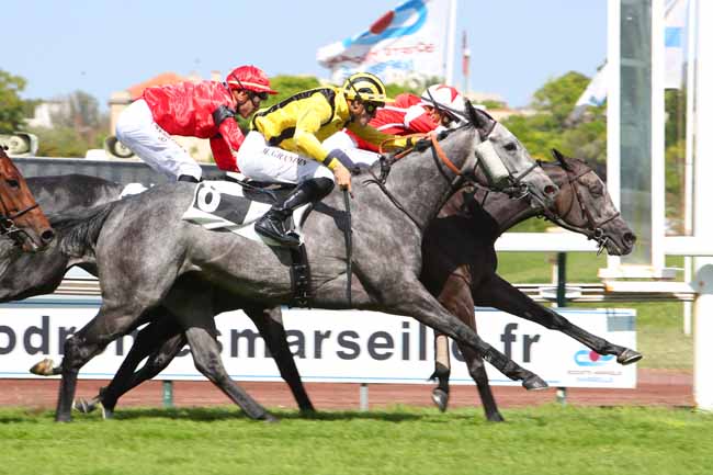 Photo d'arrivée de la course pmu PRIX DE LA COURONNE à MARSEILLE BORELY le Lundi 23 mai 2022