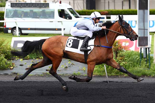 Photo d'arrivée de la course pmu PRIX WWW.CROISE-LAROCHE.FR à LE CROISE-LAROCHE le Mercredi 25 mai 2022
