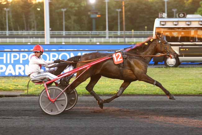 Photo d'arrivée de la course pmu PRIX LICETUS à PARIS-VINCENNES le Vendredi 27 mai 2022