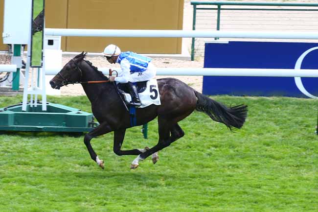 Photo d'arrivée de la course pmu PRIX DU BASSIN PARISIEN à LONGCHAMP le Dimanche 29 mai 2022