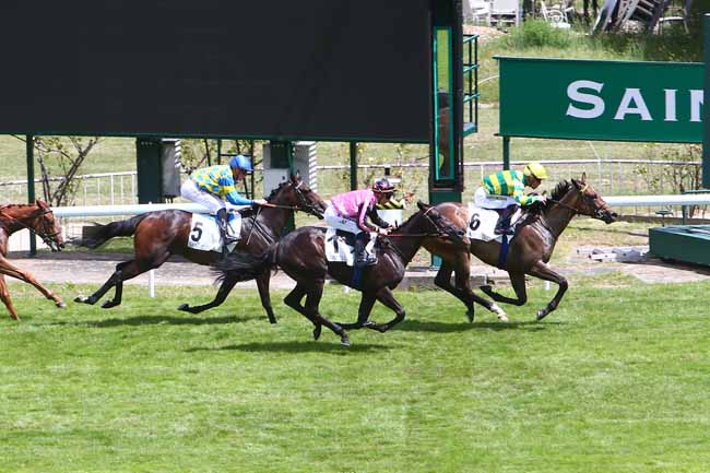 Photo d'arrivée de la course pmu PRIX EPINARD à SAINT CLOUD le Dimanche 3 juillet 2022