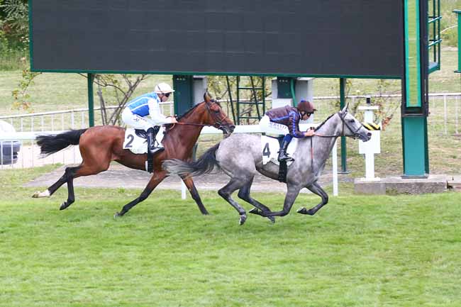 Photo d'arrivée de la course pmu PRIX QUINTETTE à SAINT CLOUD le Dimanche 3 juillet 2022
