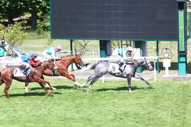 Photo d'arrivée de la course pmu GRAND PRIX DE SAINT-CLOUD à SAINT CLOUD le Dimanche 3 juillet 2022