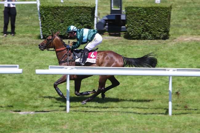 Photo d'arrivée de la course pmu PRIX HOMMAGE A DAVID POWEL (PRIX DES OEILLETS) à CLAIREFONTAINE le Lundi 4 juillet 2022