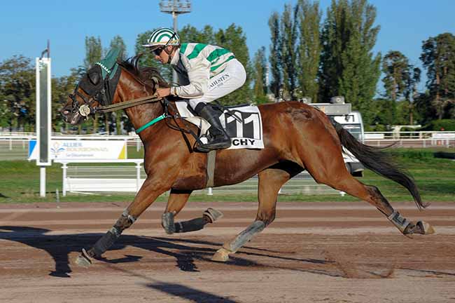 Photo d'arrivée de la course pmu PRIX DE L'INDRE à VICHY le Mardi 5 juillet 2022