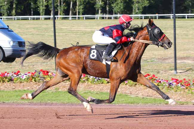 Photo d'arrivée de la course pmu PRIX DES SOCIETES DES COURSES DE VENDEE à LES SABLES D'OLONNE le Lundi 11 juillet 2022