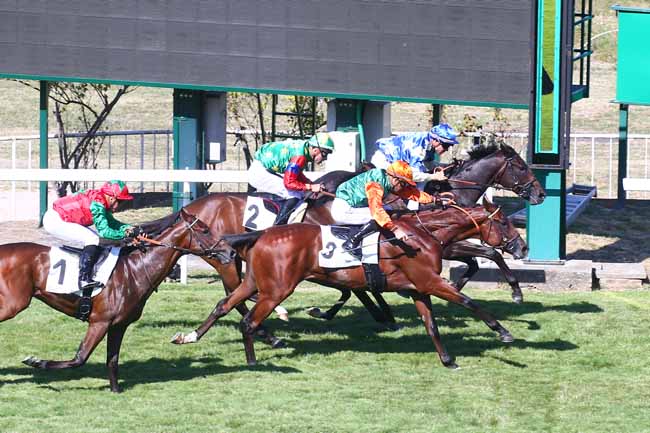 Photo d'arrivée de la course pmu PRIX RIVERMAN à SAINT CLOUD le Samedi 16 juillet 2022