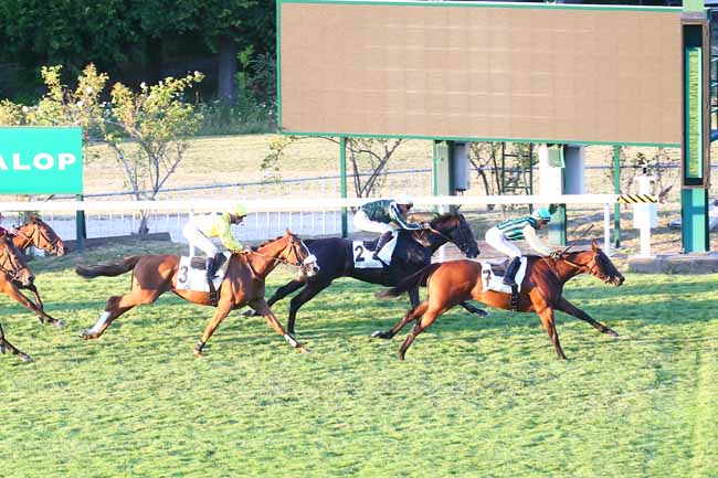 Photo d'arrivée de la course pmu PRIX D'ASCOT à SAINT CLOUD le Samedi 16 juillet 2022