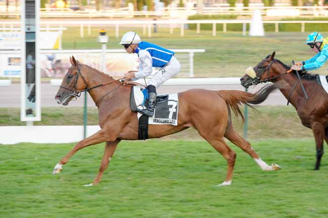Photo d'arrivée de la course pmu PRIX DE BELLERIVE-SUR-ALLIER - RACE AND CARE à VICHY le Mardi 19 juillet 2022