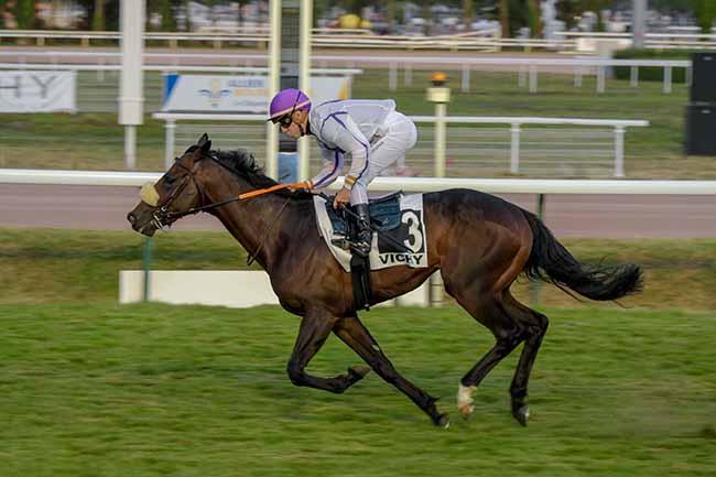 Photo d'arrivée de la course pmu PRIX DES JOUVENCEAUX ET DES JOUVENCELLES - BERNARD FERRAND à VICHY le Mercredi 20 juillet 2022