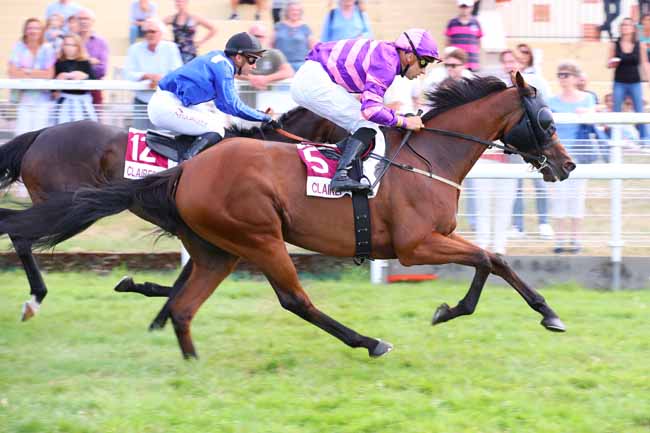 Photo d'arrivée de la course pmu PRIX DU JARDIN BOTANNIQUE DE BAYEUX à CLAIREFONTAINE le Samedi 23 juillet 2022