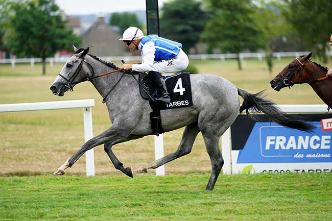 Photo d'arrivée de la course pmu PRIX CHATEAU DE PORTETS à TARBES le Lundi 25 juillet 2022