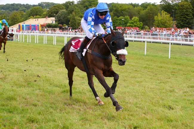 Photo d'arrivée de la course pmu PRIX PMU LE GRAND CAFE BLONVILLE-SUR-MER (PRIX DES GLYCINES) à CLAIREFONTAINE le Jeudi 28 juillet 2022
