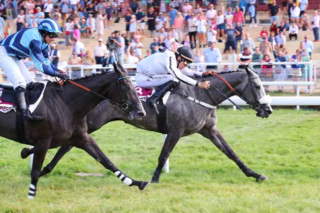 Photo d'arrivée de la course pmu PRIX PMU LE CHAMPION DEAUVILLE (PRIX DES ORCHIDEES) à CLAIREFONTAINE le Jeudi 28 juillet 2022