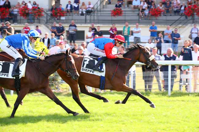 Photo d'arrivée de la course pmu PRIX DJSL BOIS (PRIX DE LA ROUTE DES VACHES) à DIEPPE le Lundi 1 août 2022