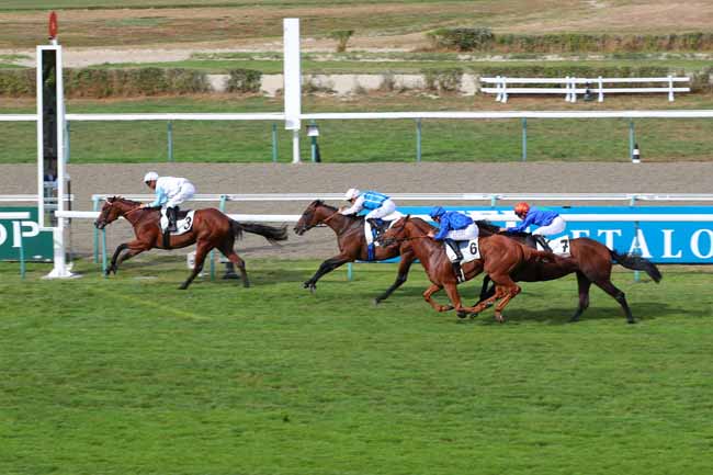 Photo d'arrivée de la course pmu PRIX DE TOURGEVILLE - FONDS EUROPEEN DE L'ELEVAGE à DEAUVILLE le Jeudi 4 août 2022