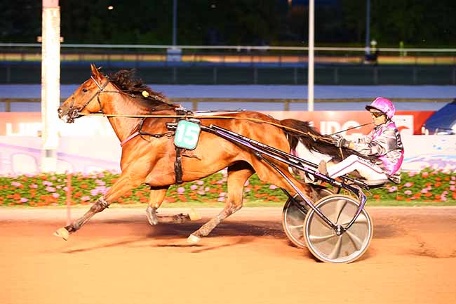 Photo d'arrivée de la course pmu PRIX DES PHLOX à CABOURG le Vendredi 5 août 2022