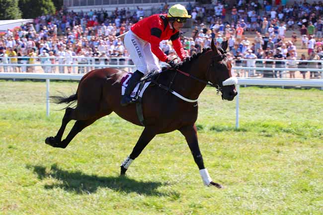 Photo d'arrivée de la course pmu PRIX AUDIOTEL 08 99 70 98 98 (PRIX DE L'ORBIQUET) à CLAIREFONTAINE le Lundi 8 août 2022