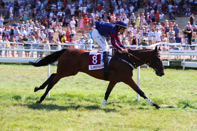 Photo d'arrivée de la course pmu PRIX PRONOSTICS LE VEINARD (PRIX DES YPREAUX) à CLAIREFONTAINE le Lundi 8 août 2022