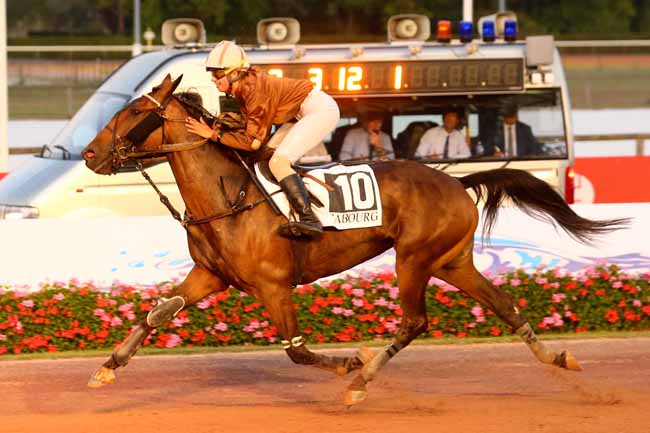 Photo d'arrivée de la course pmu PRIX DES VERVEINES à CABOURG le Vendredi 12 août 2022