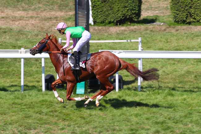 Photo d'arrivée de la course pmu PRIX DU RESTAURANT DU CASINO (PRIX JACQUES DOYASBERE) à CLAIREFONTAINE le Vendredi 12 août 2022