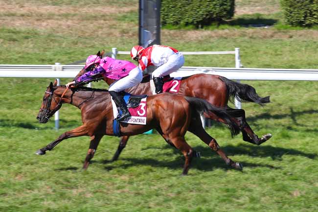 Photo d'arrivée de la course pmu PRIX JACKPOT AU CASINO (PRIX GUY FAUR DE PIBRAC) à CLAIREFONTAINE le Vendredi 12 août 2022