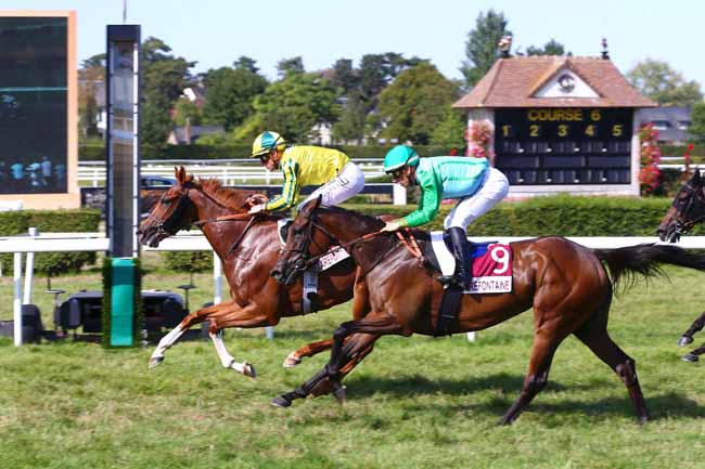 Photo d'arrivée de la course pmu PRIX MISS PRIMITIVE TATTOO (PRIX BELLYPHA) à CLAIREFONTAINE le Samedi 13 août 2022