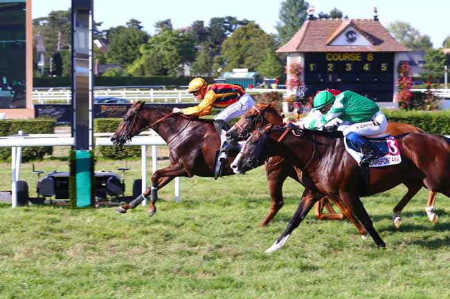 Photo d'arrivée de la course pmu PRIX ROCK TASIMOVICZ (PRIX DE SAINT-HYMER) à CLAIREFONTAINE le Samedi 13 août 2022