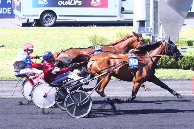 Photo d'arrivée de la course pmu CRITERIUM 3 ANS - Q1 - PRIX REINE DU CORTA à PARIS-VINCENNES le Samedi 20 août 2022